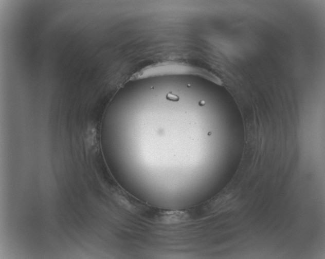 X0000062620087200512281540