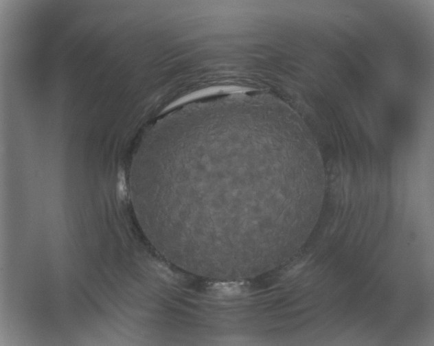 X0000062620089200512281540