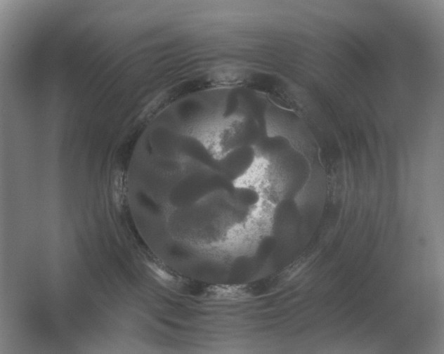 X0000062620093200512281540