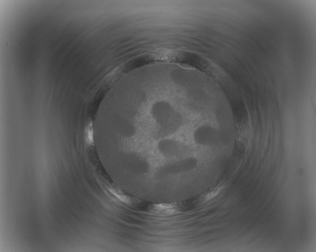 X0000062620095200512281541