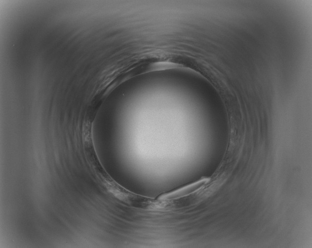 X0000062620096200512281541