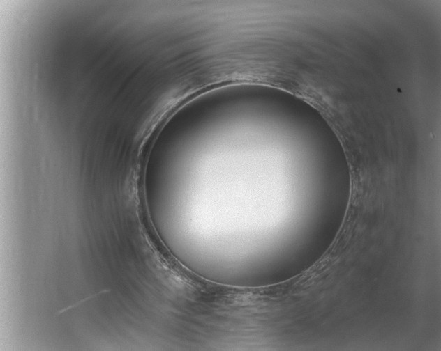 X0000062620098200512281540