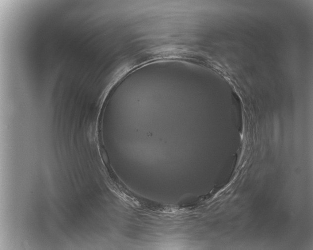 X0000062620099200512281540