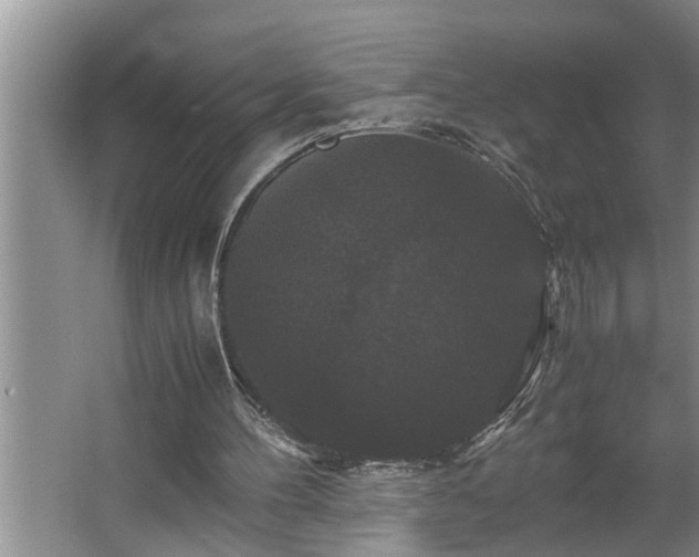 X0000062620100200512281540