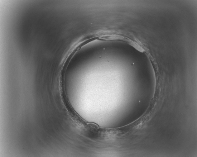 X0000062620103200512281540