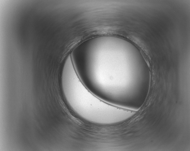 X0000062620105200512281540