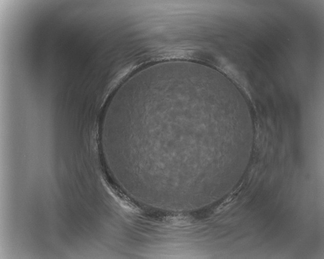 X0000062620107200512281540