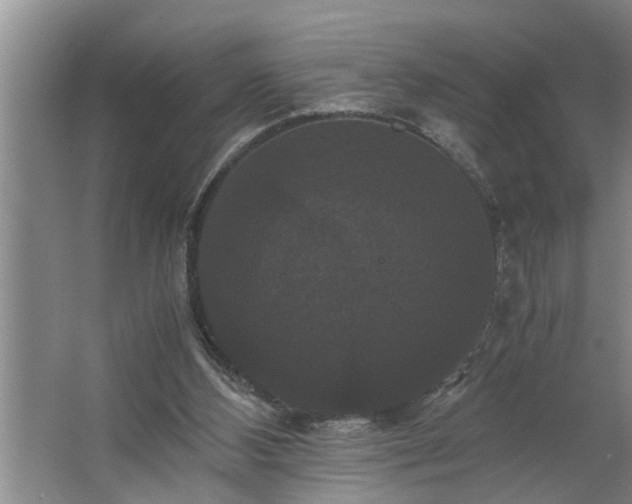 X0000062620108200512281540