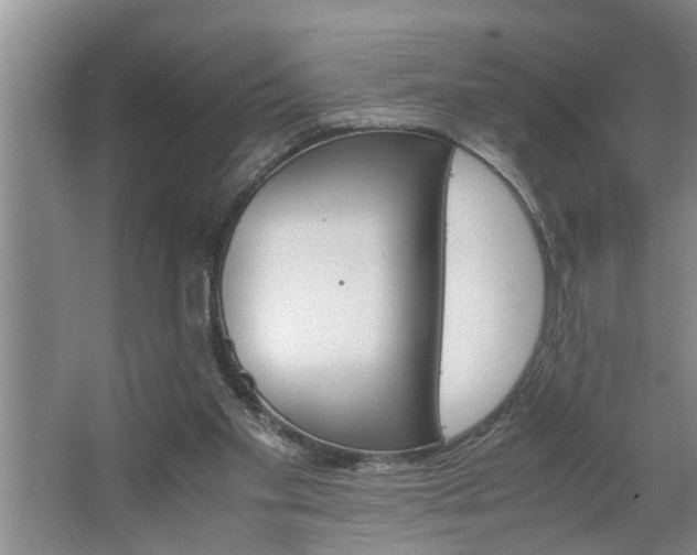 X0000062620109200512281540