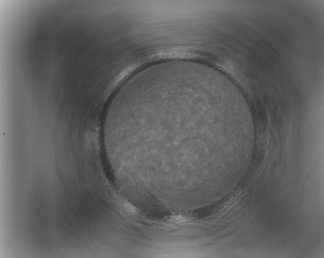 X0000062620111200512281539