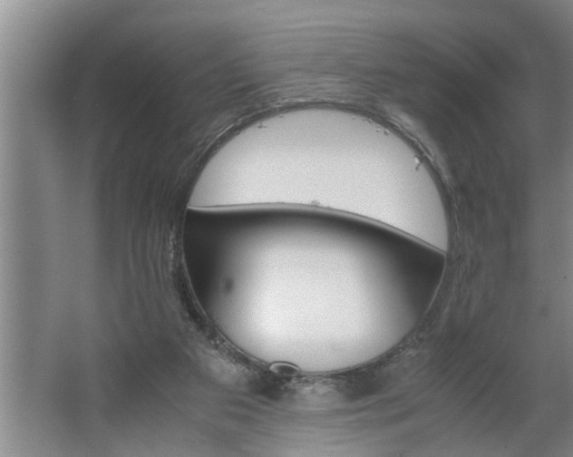 X0000062620113200512281539