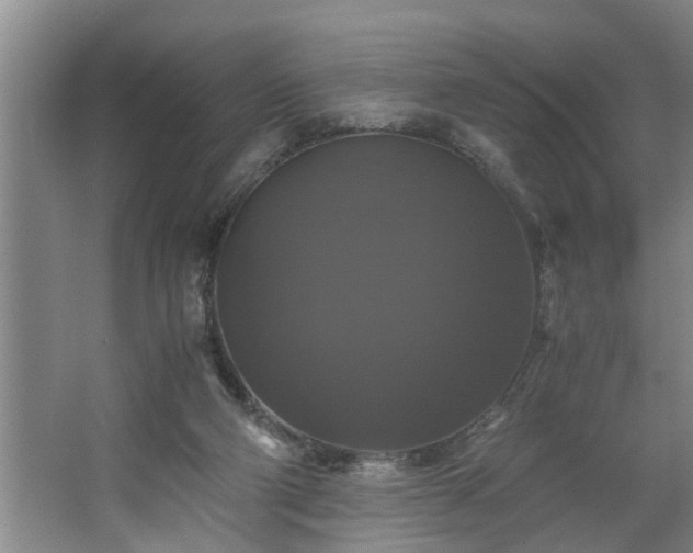 X0000062620114200512281539