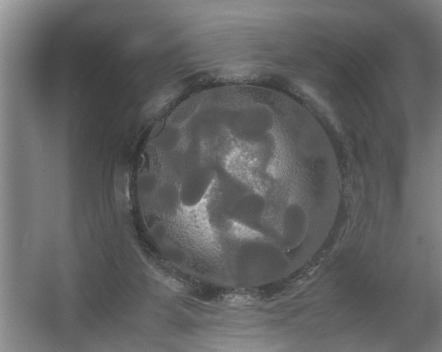 X0000062620115200512281539