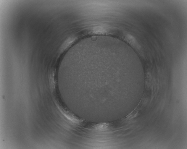 X0000062620116200512281539