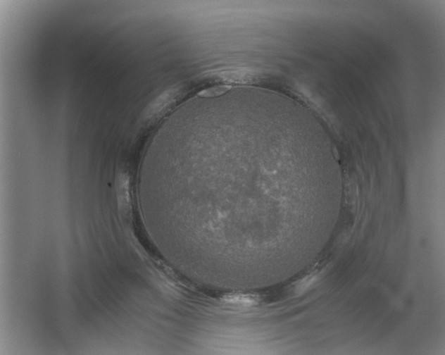 X0000062620117200512281539