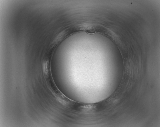 X0000062620118200512281539