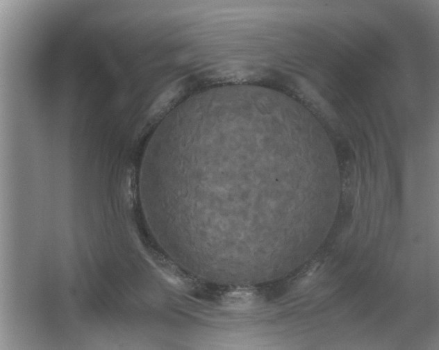 X0000062620119200512281539