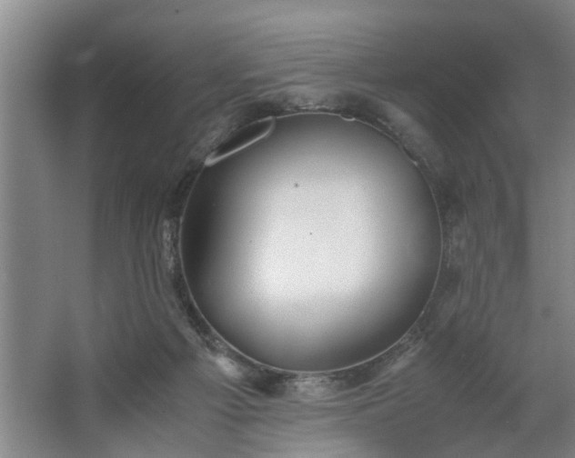 X0000062620121200512281539