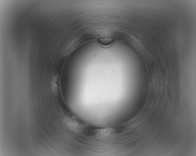 X0000062620122200512281539