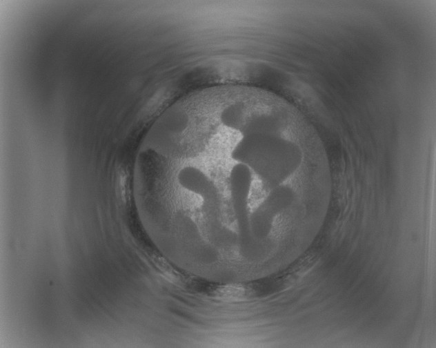 X0000062620123200512281539