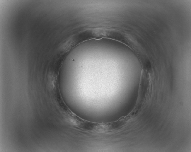 X0000062620125200512281539