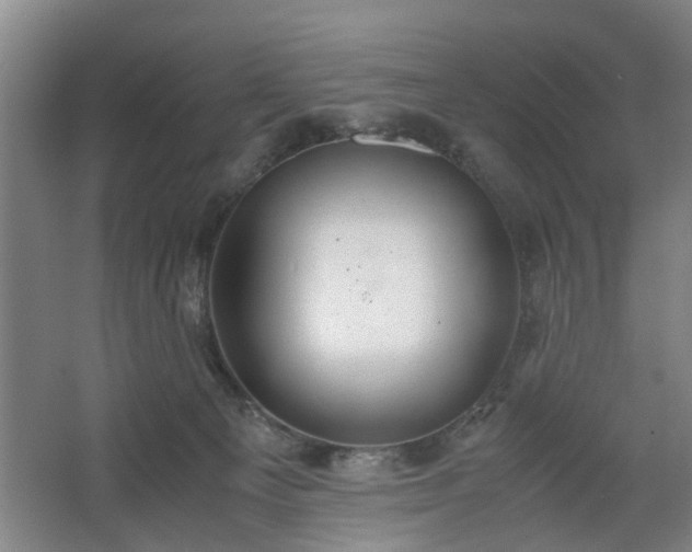 X0000062620129200512281539