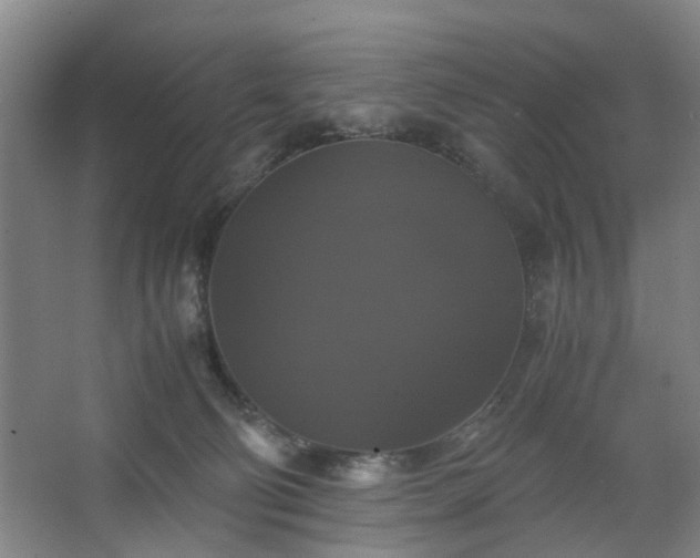 X0000062620130200512281539