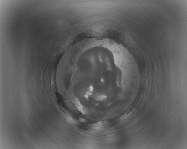 X0000062620131200512281539