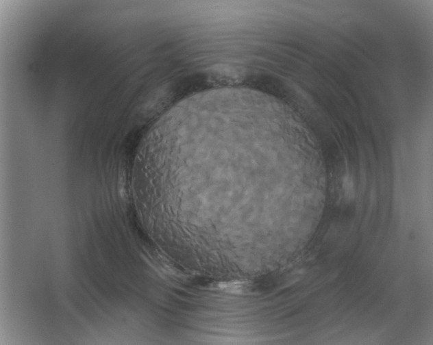 X0000062620134200512281539