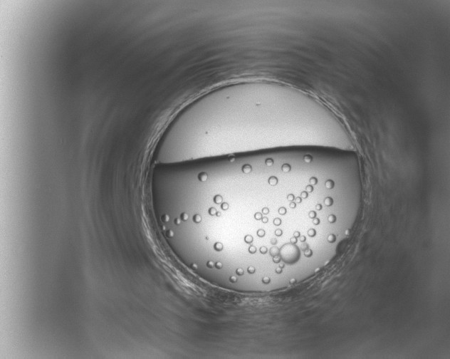 X0000062620145200512281538