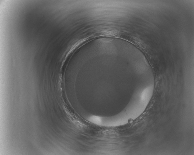 X0000062620146200512281538