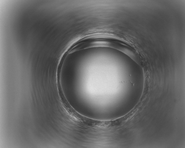 X0000062620148200512281538