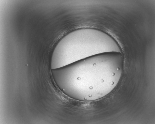 X0000062620153200512281538