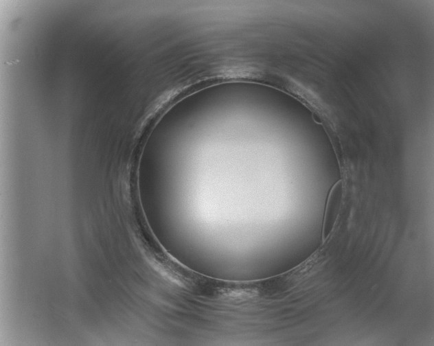 X0000062620155200512281538