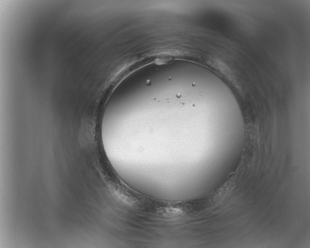 X0000062620159200512281538