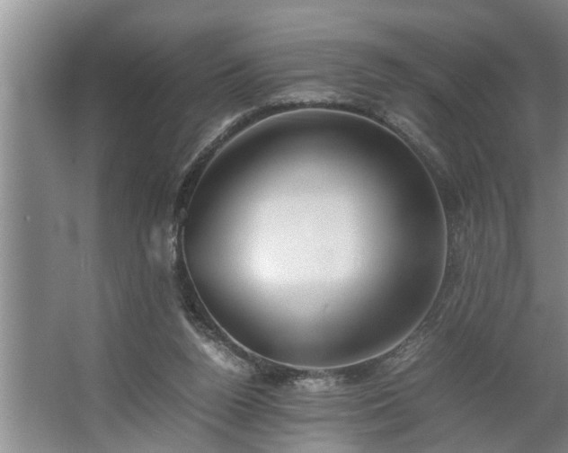 X0000062620160200512281538