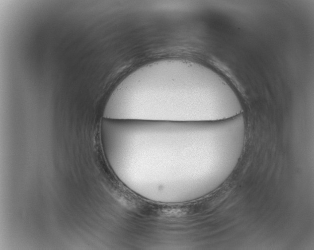 X0000062620161200512281538