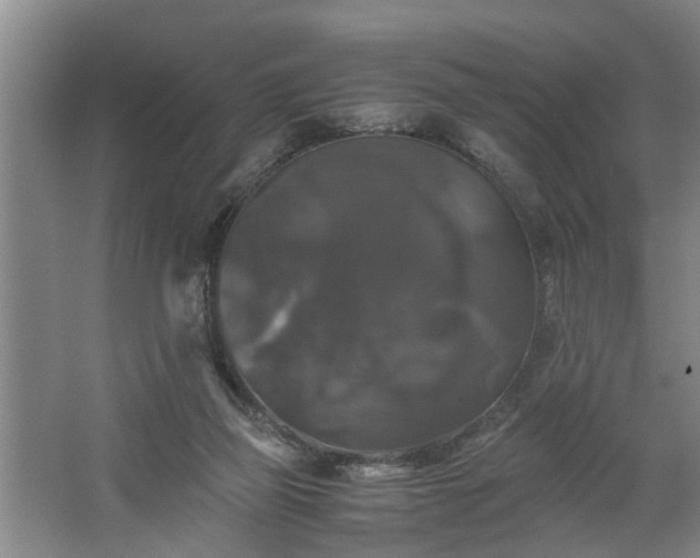 X0000062620165200512281538