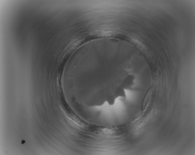 X0000062620166200512281538