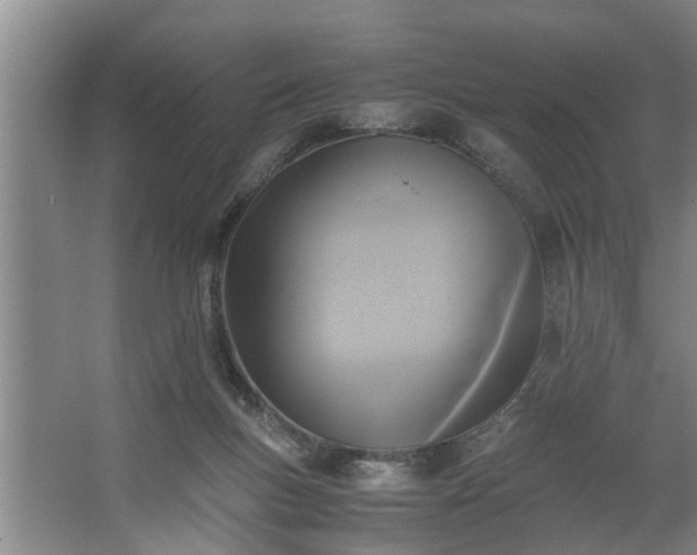 X0000062620167200512281538