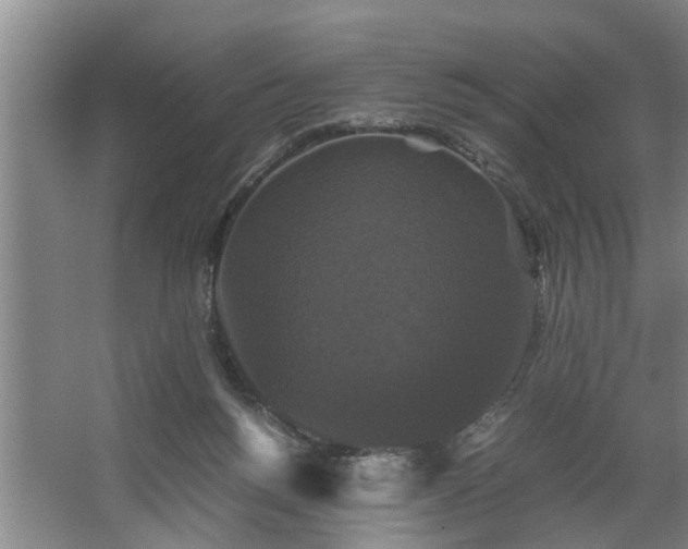 X0000062620168200512281539