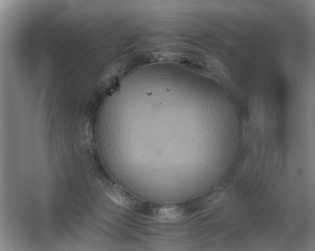 X0000062620173200512281539