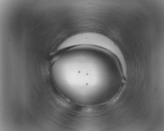 X0000062620174200512281539