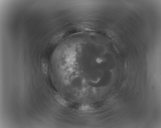 X0000062620177200512281539