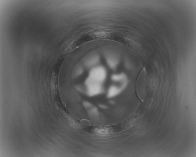 X0000062620181200512281539