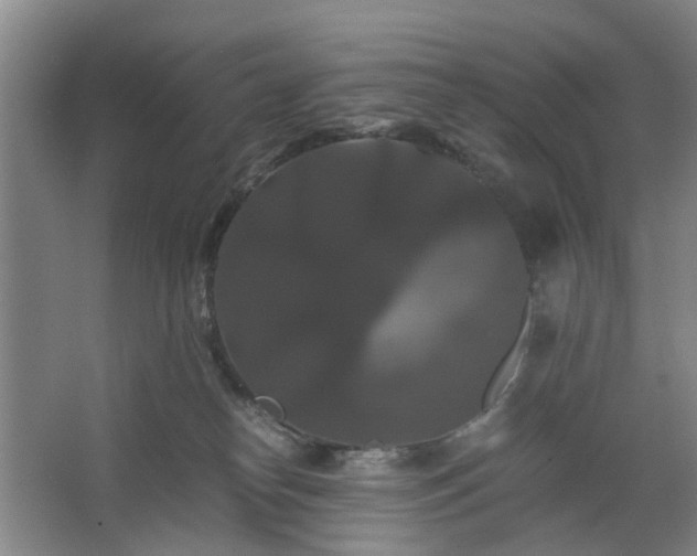 X0000062620182200512281539