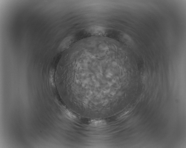 X0000062620185200512281539