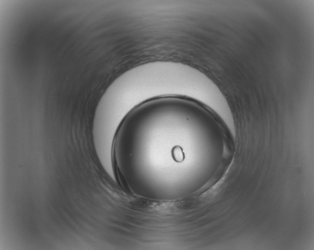 X0000062620186200512281539