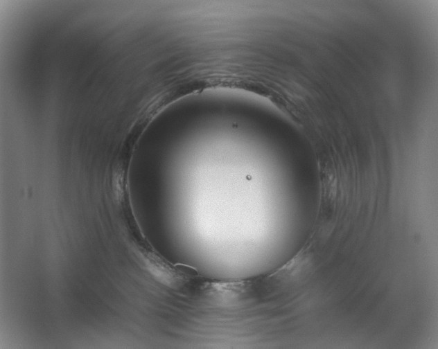 X0000062620188200512281539