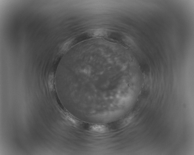 X0000062620189200512281539